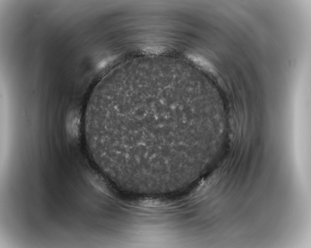 X0000086920596200704301059