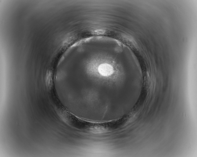 X0000086920598200704301059