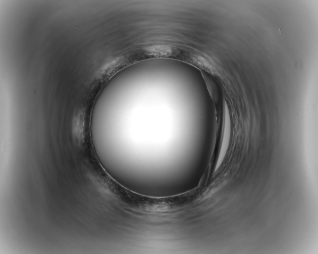 X0000086920600200704301058