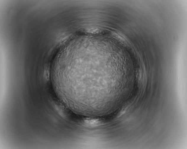 X0000086920602200704301058