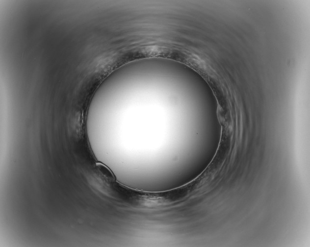X0000086920605200704301058