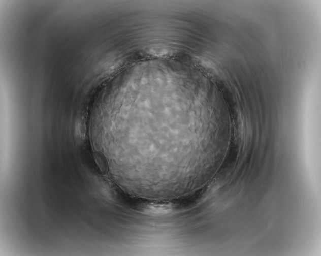 X0000086920606200704301058
