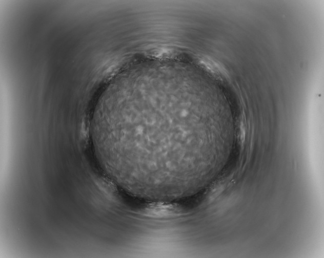 X0000086920607200704301058