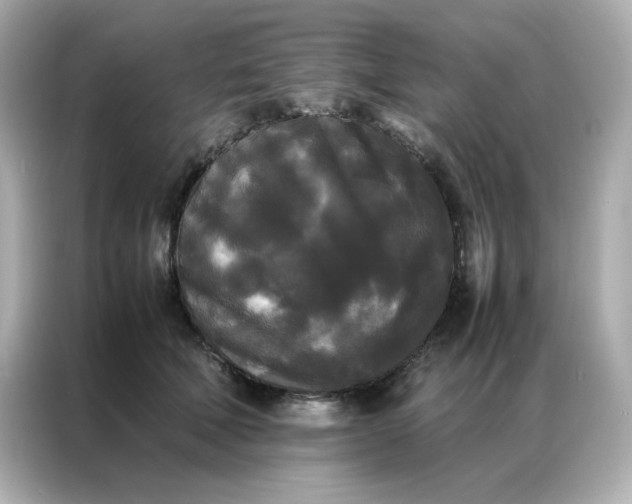 X0000086920610200704301058