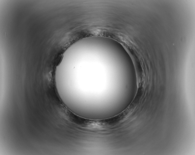 X0000086920611200704301058