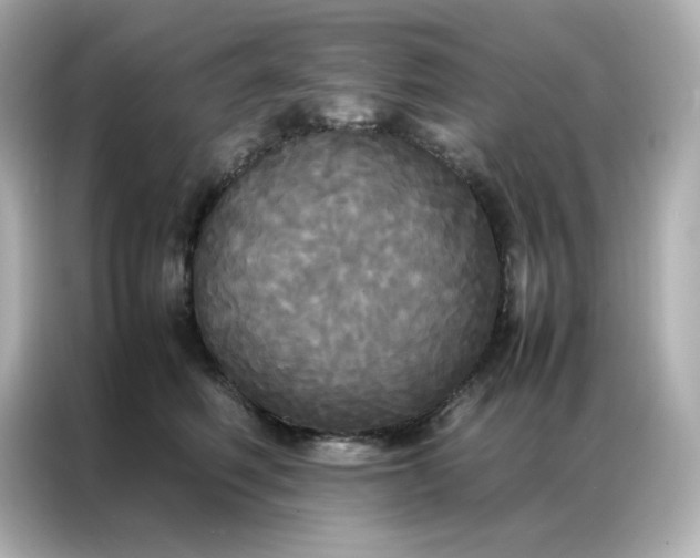 X0000086920614200704301058