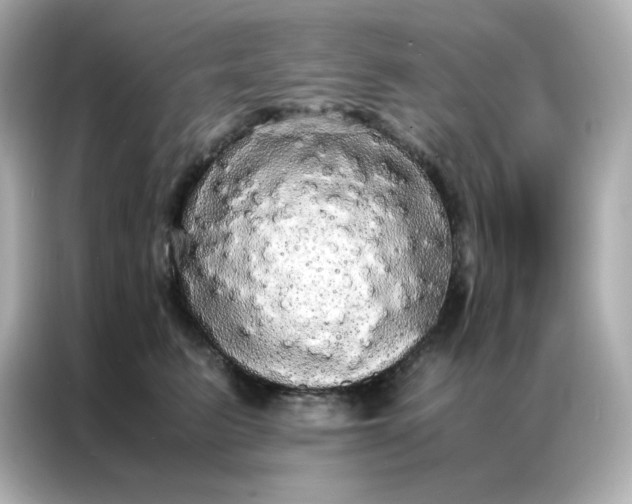 X0000086920615200704301058