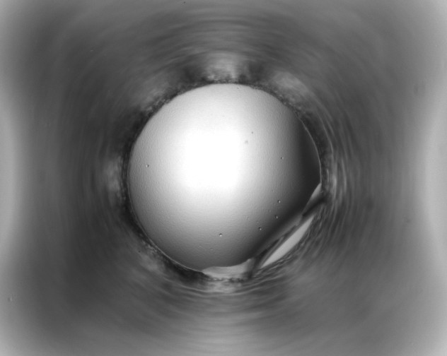 X0000086920616200704301058