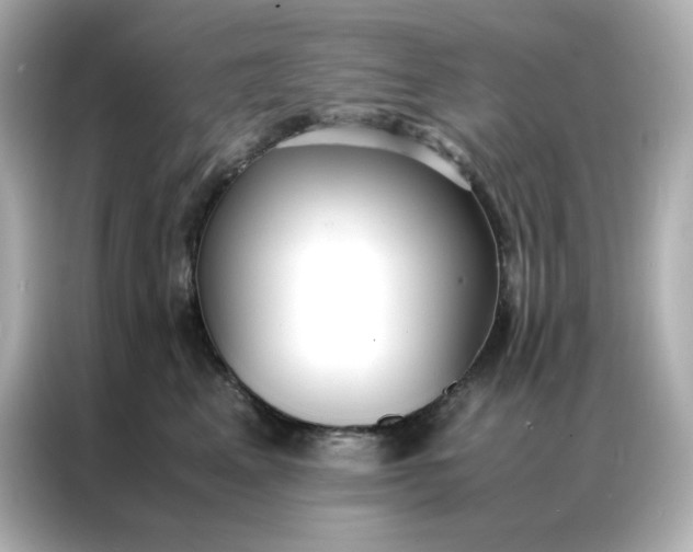 X0000086920617200704301058