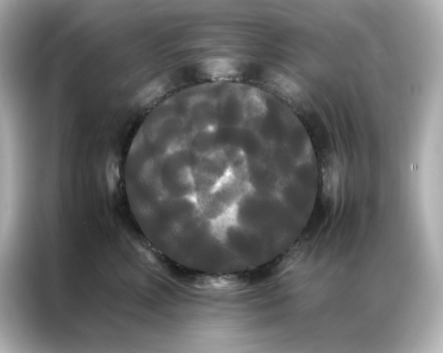X0000086920618200704301058