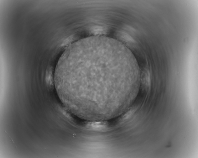 X0000086920622200704301058