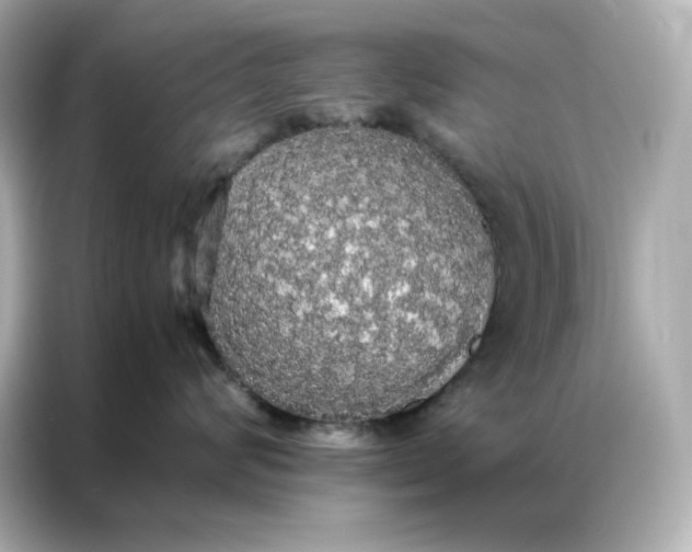 X0000086920624200704301058