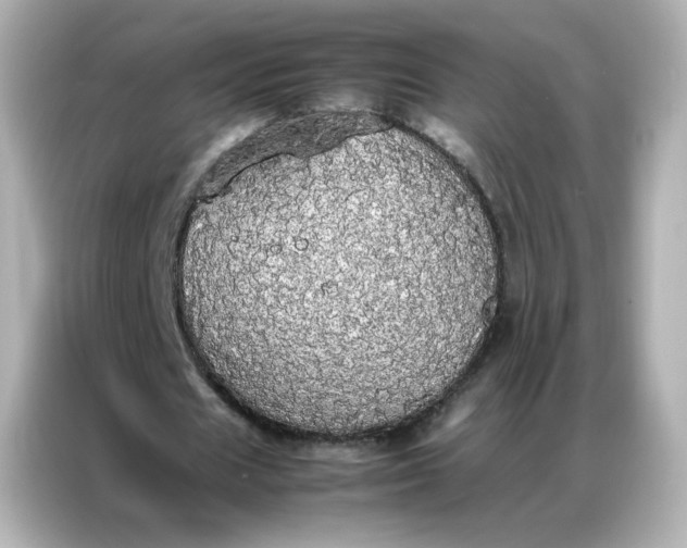 X0000086920625200704301058