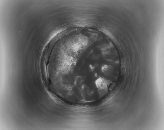 X0000086920626200704301058