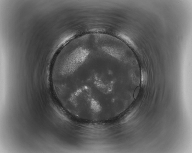 X0000086920627200704301058