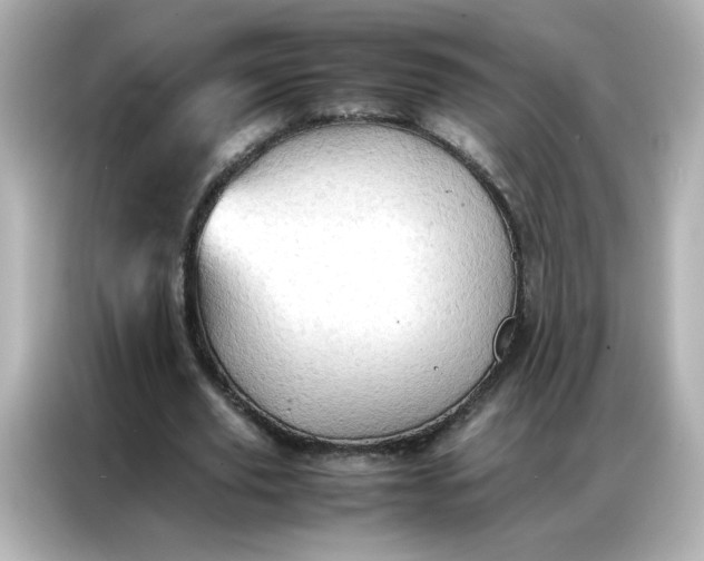 X0000086920629200704301058