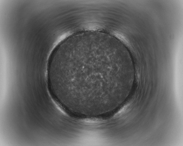 X0000086920630200704301058