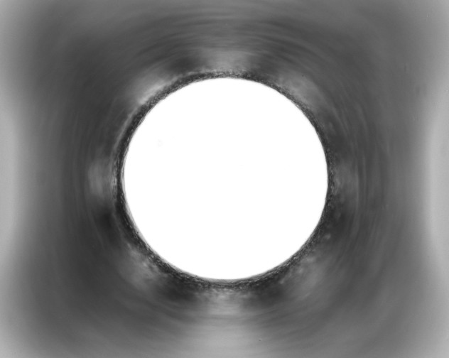 X0000086920632200704301058
