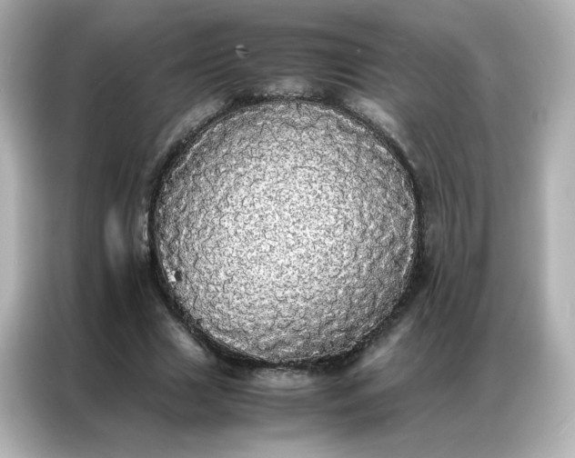 X0000086920633200704301058