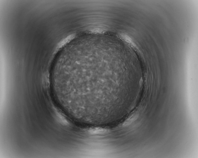 X0000086920634200704301058