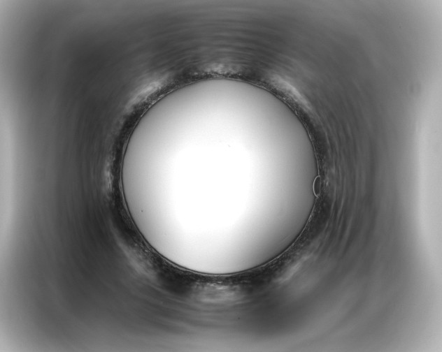 X0000086920635200704301058