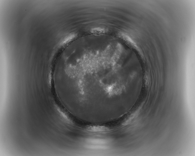 X0000086920637200704301058
