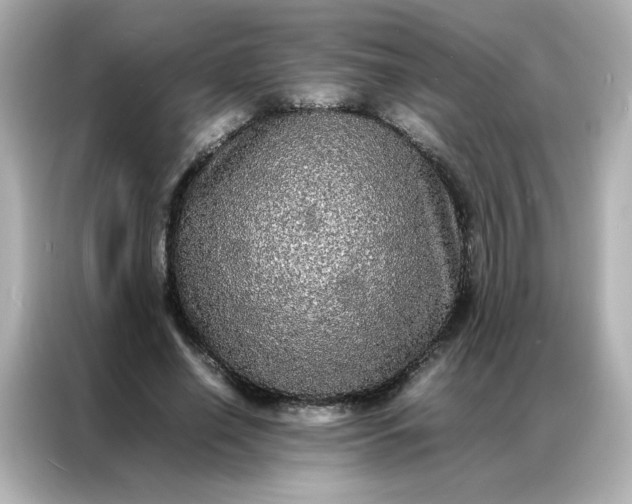 X0000086920638200704301058