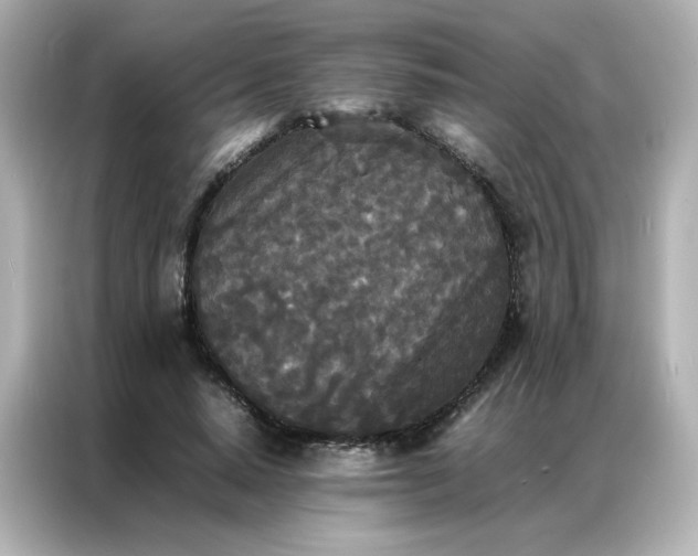 X0000086920640200704301058