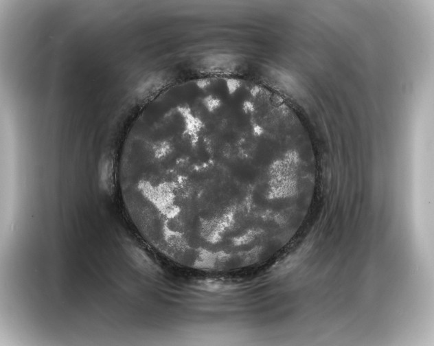 X0000086920641200704301058