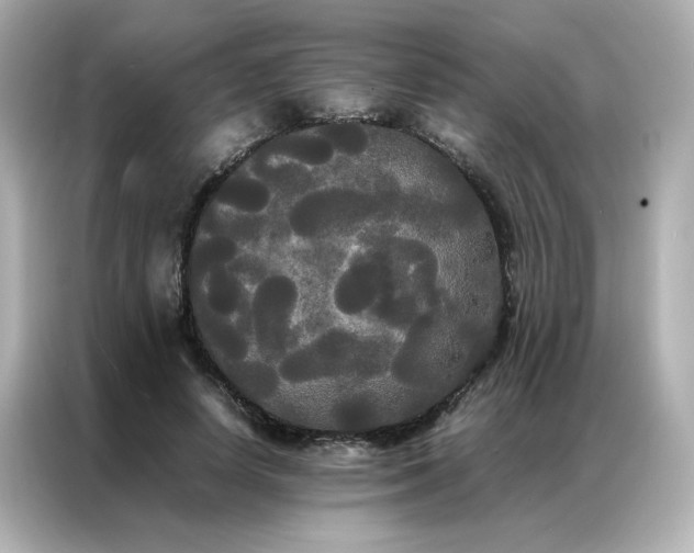 X0000086920642200704301058