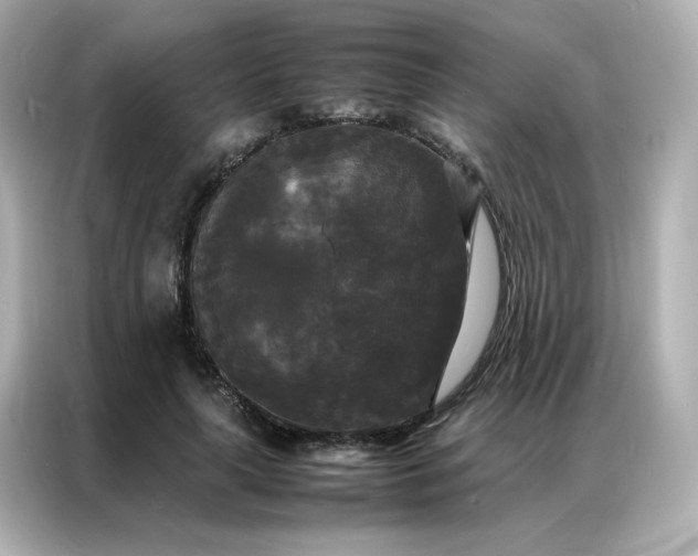 X0000086920643200704301058