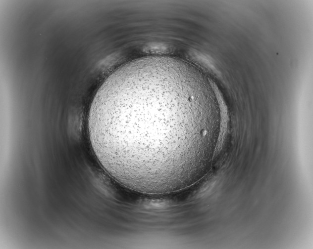 X0000086920645200704301058