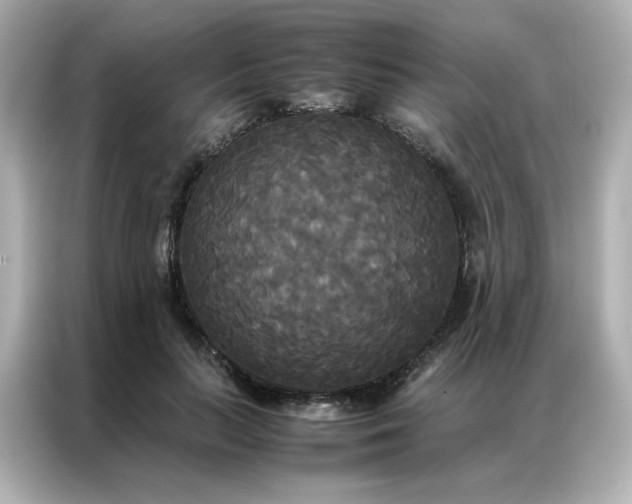 X0000086920647200704301058