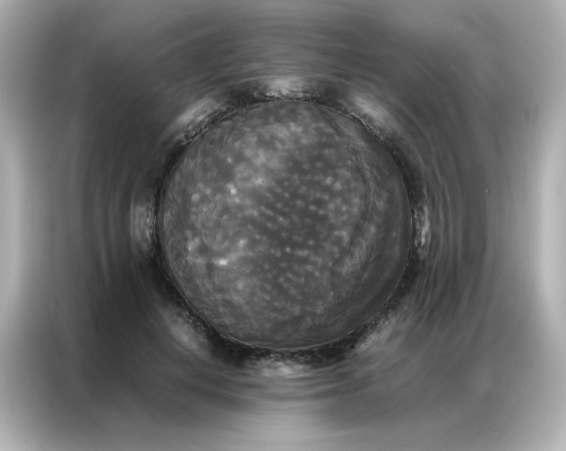 X0000086920648200704301058