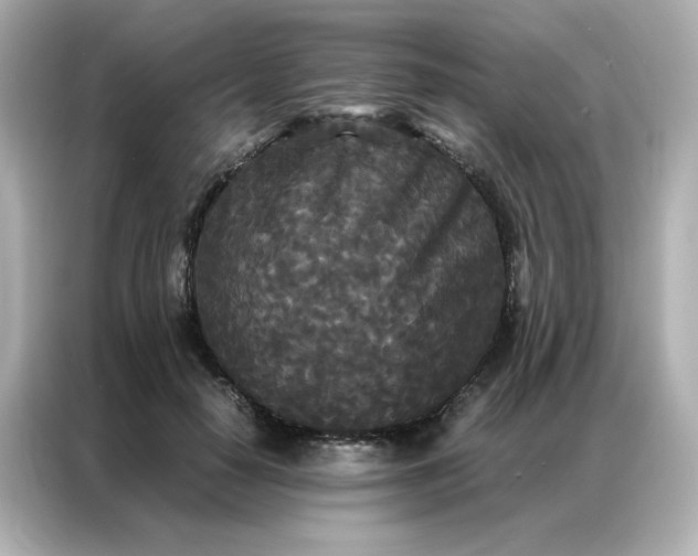 X0000086920650200704301058