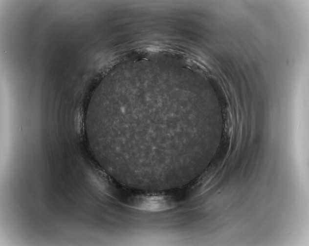X0000086920651200704301058