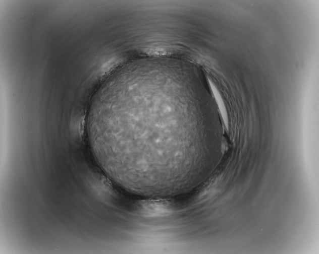 X0000086920652200704301058