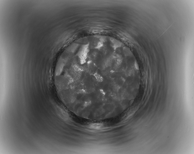 X0000086920653200704301058