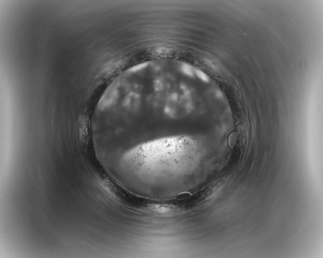 X0000086920654200704301058
