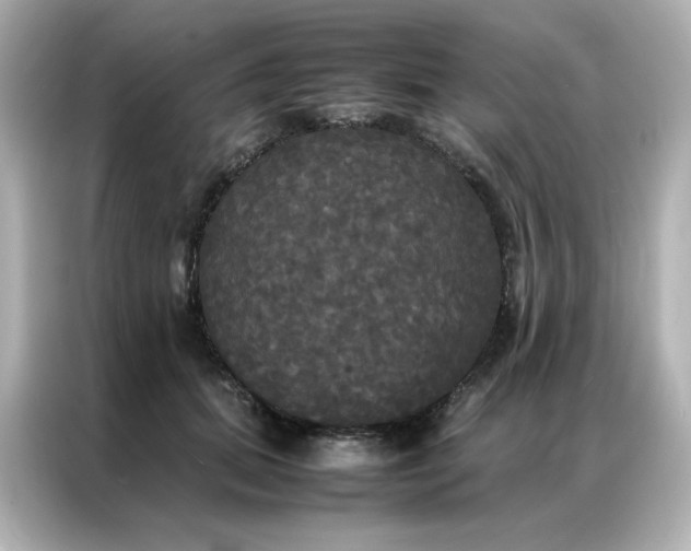 X0000086920655200704301058