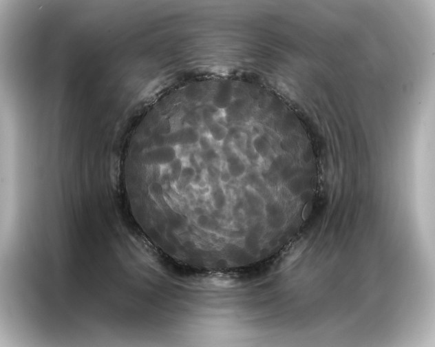 X0000086920656200704301058