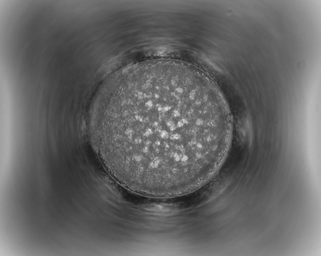 X0000086920657200704301058