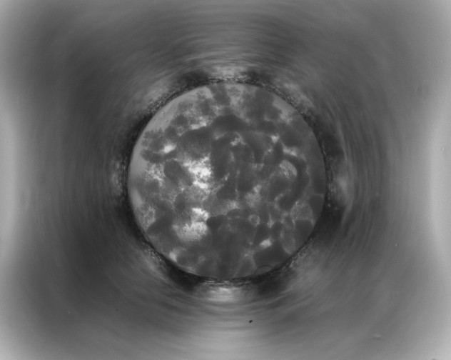 X0000086920658200704301058