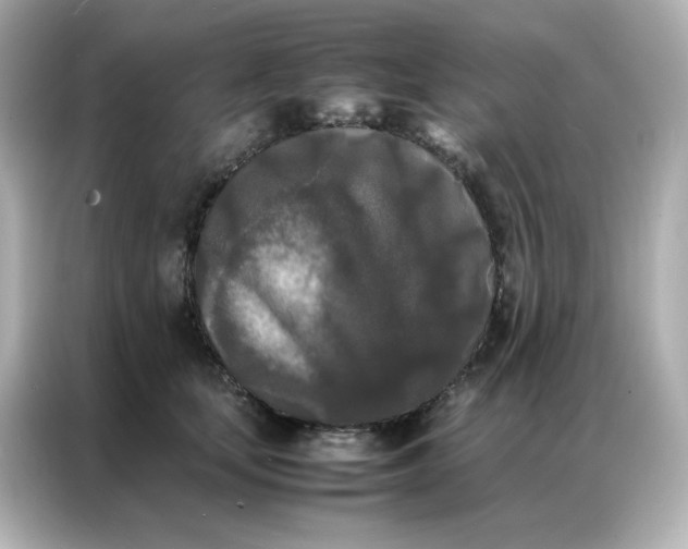 X0000086920659200704301058