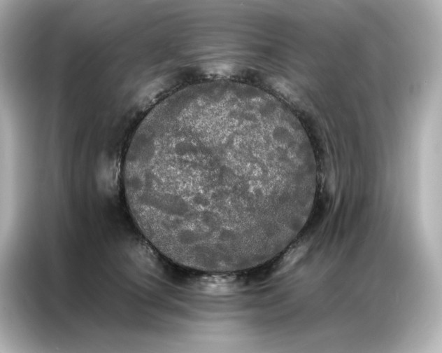 X0000086920660200704301058