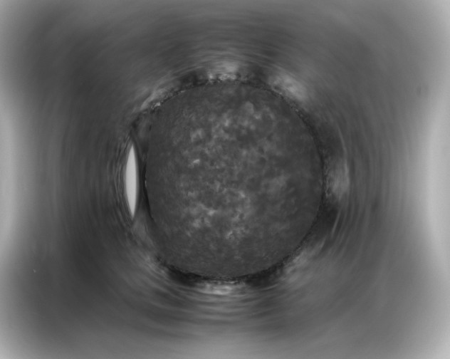 X0000086920661200704301058