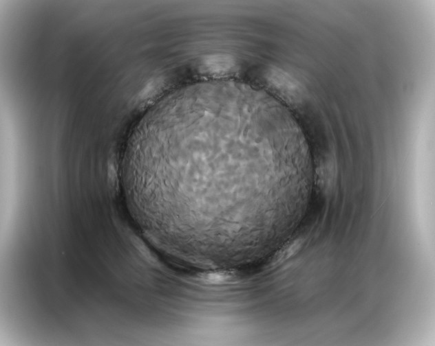 X0000086920662200704301058
