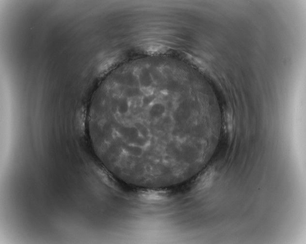 X0000086920664200704301058