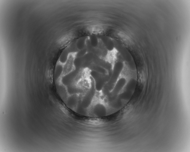 X0000086920666200704301058