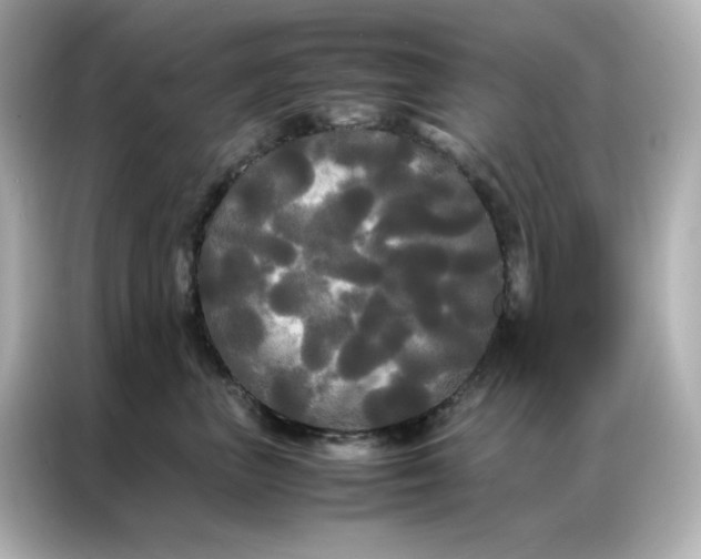 X0000086920667200704301058